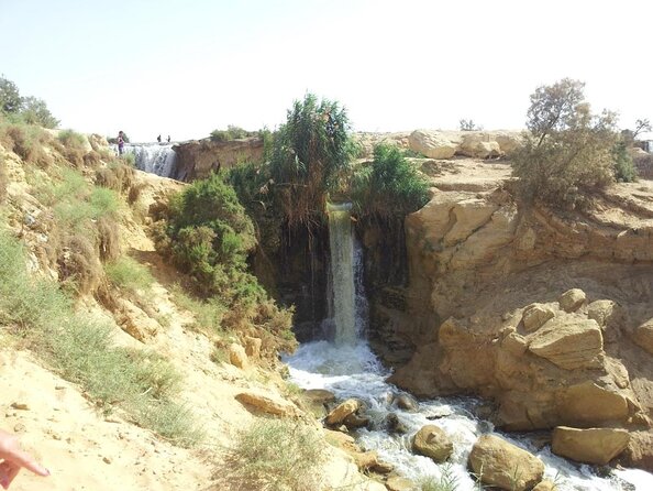 Valley of Whales and Wadi El Rayan Water Falls Day Tour from Cairo - The fossil stop that makes this day trip feel like a discovery mission