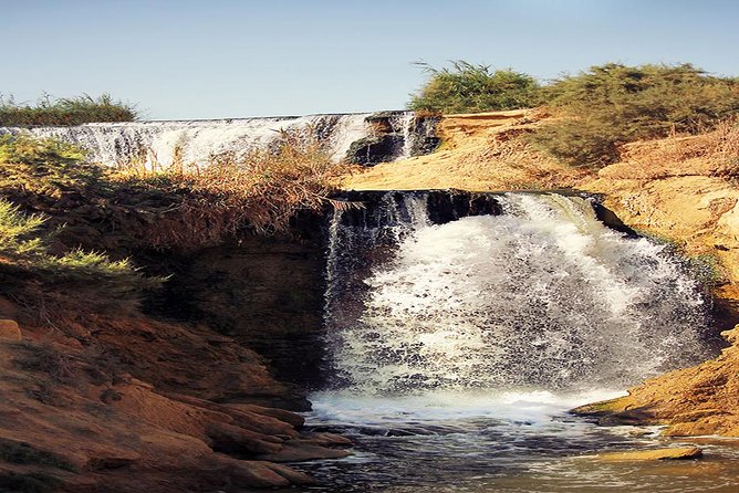 Valley of Whales and Wadi El Rayan Water Falls Day Tour from Cairo - Lake Qarun and the Tunis Village viewpoint: quick stops that pay off