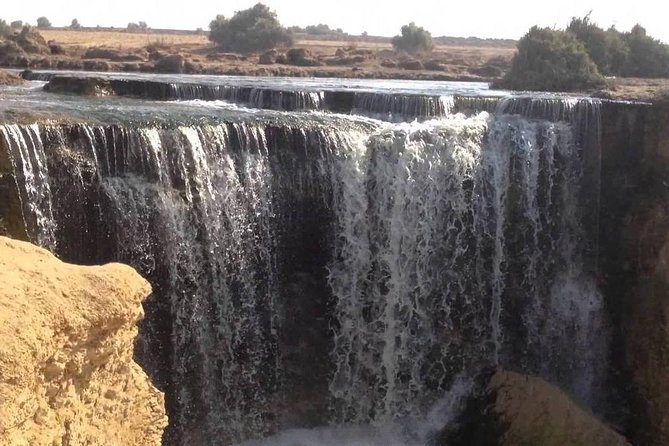Valley of Whales and Wadi El Rayan Water Falls Day Tour from Cairo - Guides, drivers, and photo help that actually matters