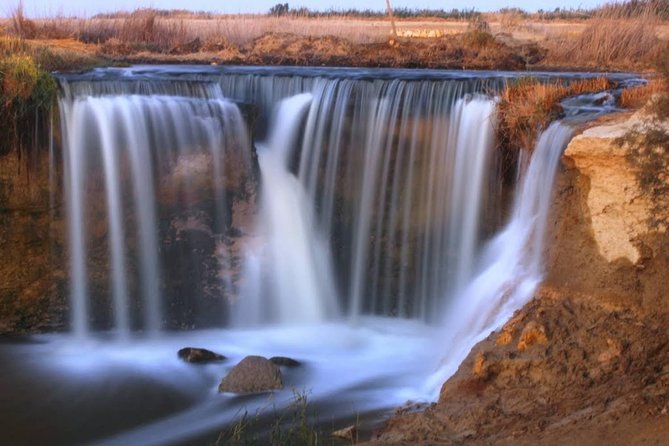 Valley of Whales and Wadi El Rayan Water Falls Day Tour from Cairo - Should you book Valley of the Whales and Wadi El-Rayan from Cairo?