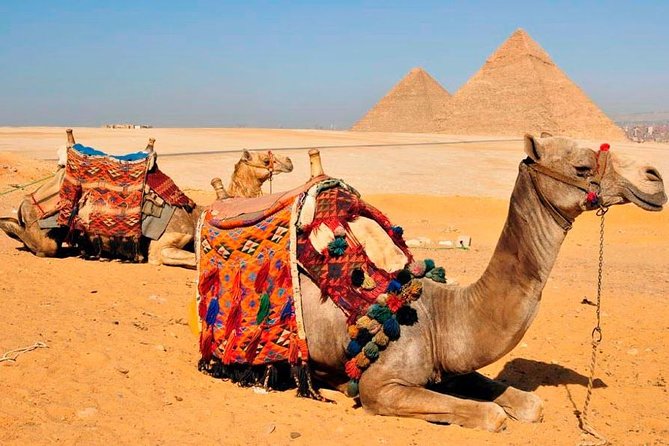 VIP All inclusive Best of Giza Pyramids, Sphinx, Sakkara, Memphis - Saqqara’s Step Pyramid: why Djoser’s complex is more than a quick stop