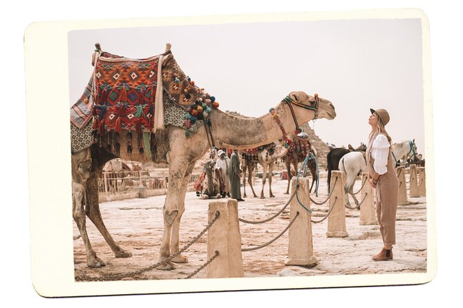 VIP All inclusive Best of Giza Pyramids, Sphinx, Sakkara, Memphis - Transport comfort, AC, and what to do if the car runs hot