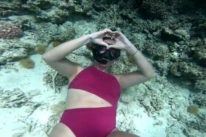 ViP Full Day Swimming With Dolphin Sea Trip With Lunch - Hurghada - The cruise to Dolphin House: your first look at the Red Sea