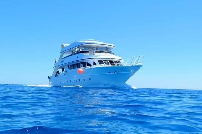 ViP Orange Bay Giftun Island Tour By Boat With Lunch in Hurghada - What about dolphins and sea life?
