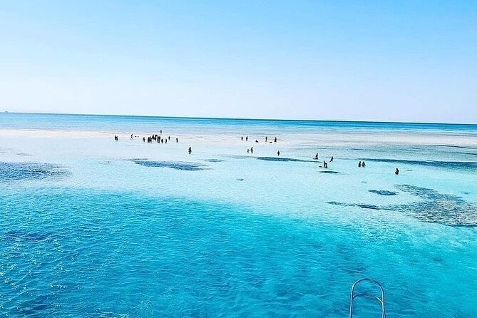 VIP Ras Mohamed and White Island boat trip - Second Snorkeling Stop, More Time in the Right Place