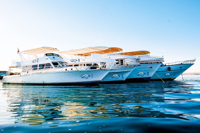 Viva Egypt hurghada Hula Hula Island & Lunch & Water sports 3<em>1 – Key things I’d plan around before you go’ /></p>
<ul>
<li><strong>Two snorkeling moments</strong> are built into the experience, so you get more than one chance to spot colorful reef life.</li>
<li><strong>Small group size</strong> (up to 15) generally makes it easier to hear instructions and stay together.</li>
<li><strong>Lunch is included</strong> with soda and bottled water, so you can focus on swimming instead of buying food.</li>
<li><strong>Water sports are part of the day</strong> (banana and Quadra), which turns a snorkel trip into a more active outing.</li>
<li><strong>A real coral reef hour</strong> is scheduled early, so bring your best snorkeling mindset from the start.</li>
<li><strong>Weather matters</strong>, and poor conditions can mean schedule changes or a full refund.</li>
</ul>
<h2>A Half-Day Red Sea Plan That Actually Fits a Holiday</h2>
<p><img width="669" height="446" decoding="async" src=